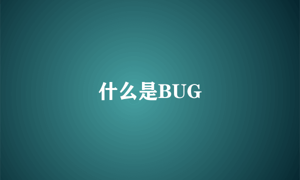 什么是BUG