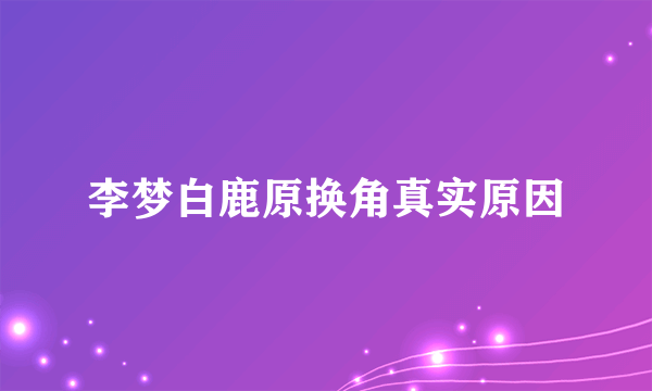 李梦白鹿原换角真实原因