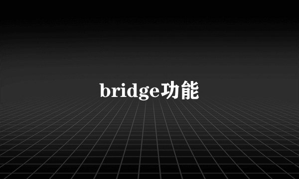 bridge功能