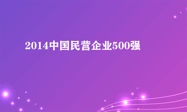 2014中国民营企业500强