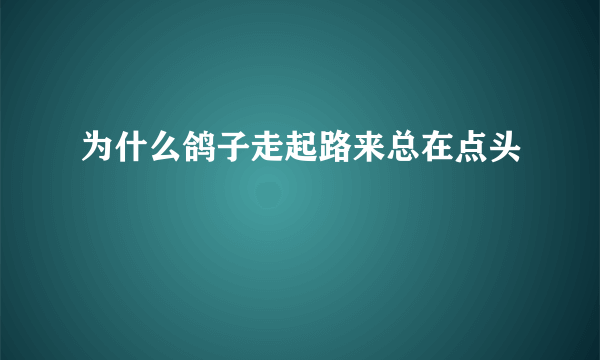 为什么鸽子走起路来总在点头