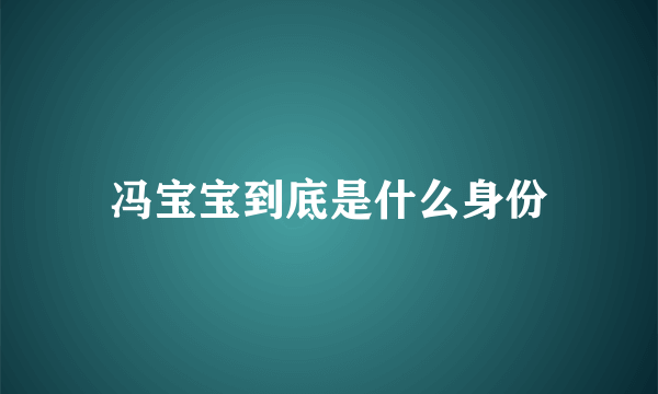 冯宝宝到底是什么身份