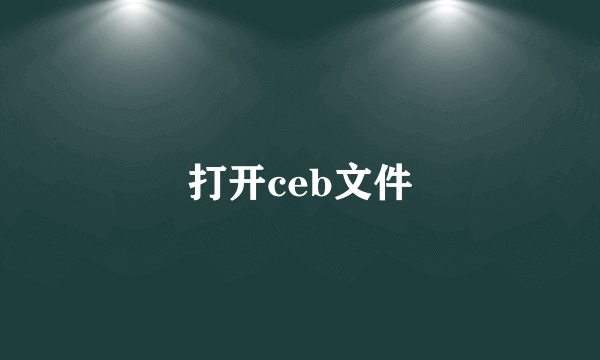 打开ceb文件