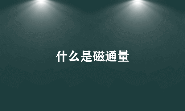 什么是磁通量