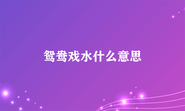 鸳鸯戏水什么意思