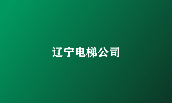 辽宁电梯公司