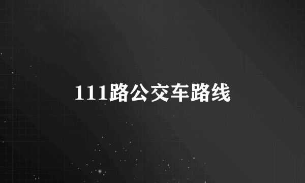 111路公交车路线