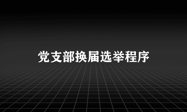 党支部换届选举程序