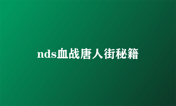 nds血战唐人街秘籍