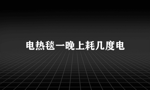 电热毯一晚上耗几度电