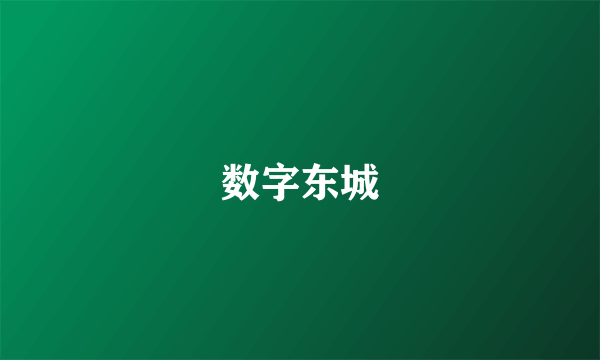 数字东城