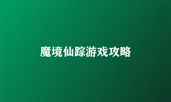 魔境仙踪游戏攻略