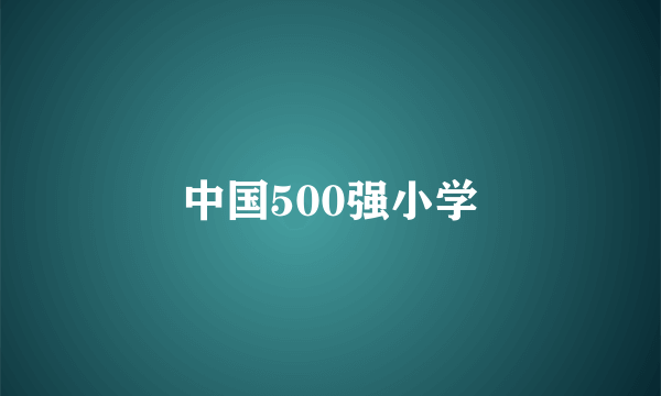 中国500强小学