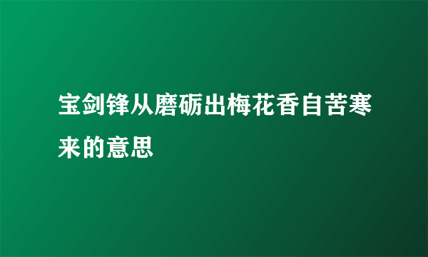 宝剑锋从磨砺出梅花香自苦寒来的意思