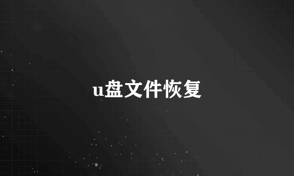 u盘文件恢复