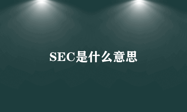 SEC是什么意思