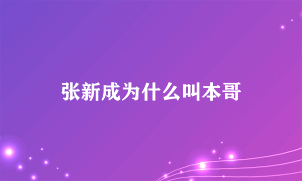 张新成为什么叫本哥