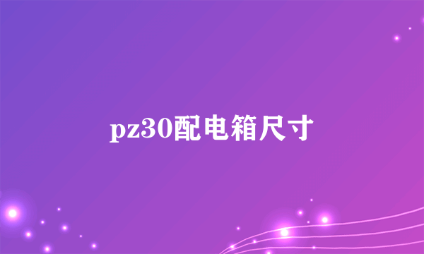 pz30配电箱尺寸