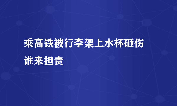 乘高铁被行李架上水杯砸伤 谁来担责