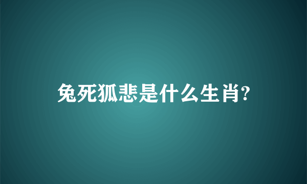 兔死狐悲是什么生肖?