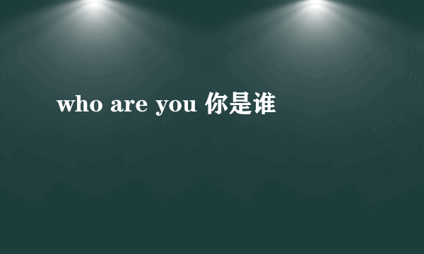 who are you 你是谁