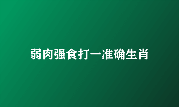 弱肉强食打一准确生肖