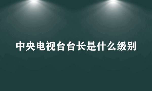 中央电视台台长是什么级别