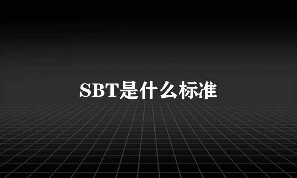 SBT是什么标准