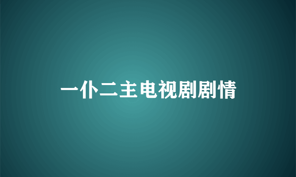 一仆二主电视剧剧情