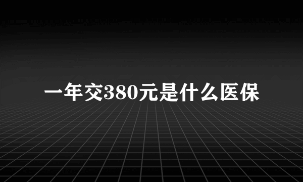 一年交380元是什么医保