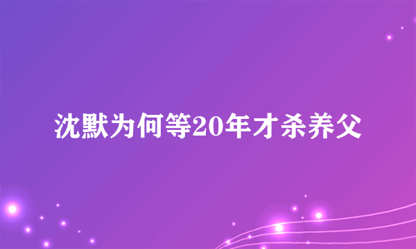 沈默为何等20年才杀养父