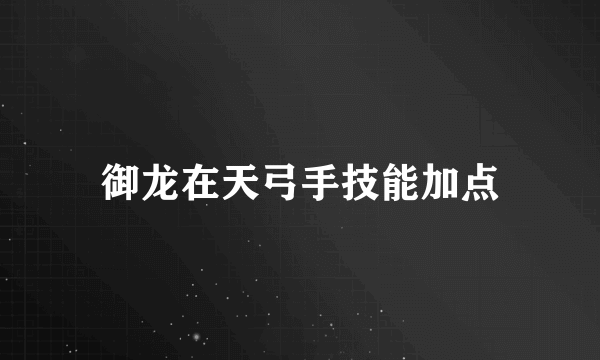 御龙在天弓手技能加点