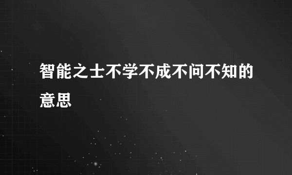 智能之士不学不成不问不知的意思