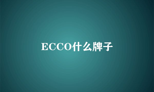 ECCO什么牌子