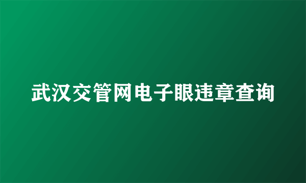 武汉交管网电子眼违章查询