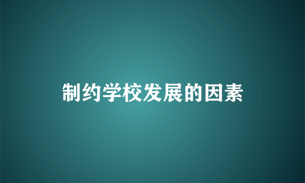 制约学校发展的因素