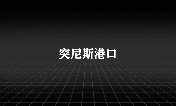 突尼斯港口