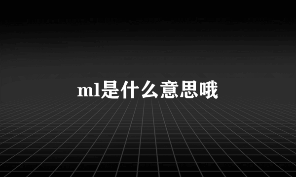 ml是什么意思哦