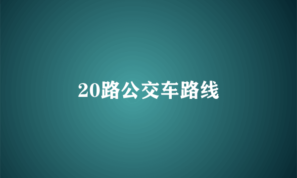 20路公交车路线