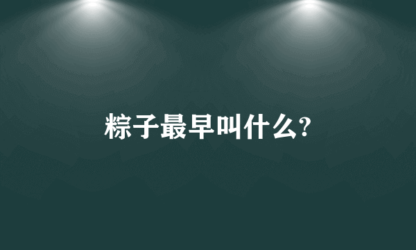 粽子最早叫什么?