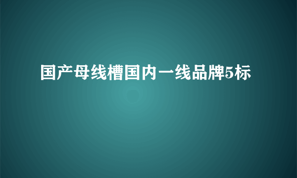 国产母线槽国内一线品牌5标