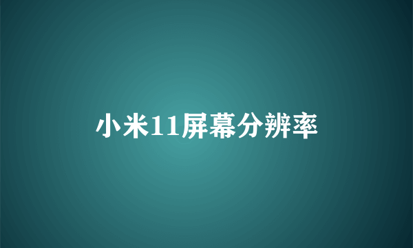 小米11屏幕分辨率