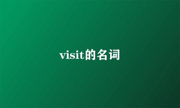 visit的名词