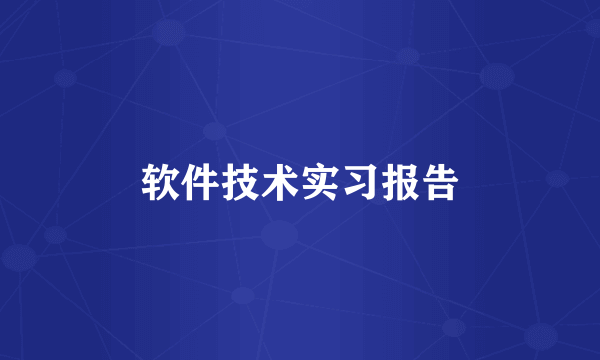 软件技术实习报告