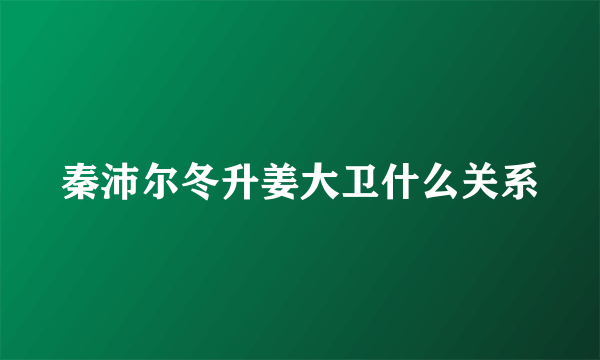 秦沛尔冬升姜大卫什么关系