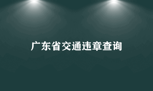 广东省交通违章查询