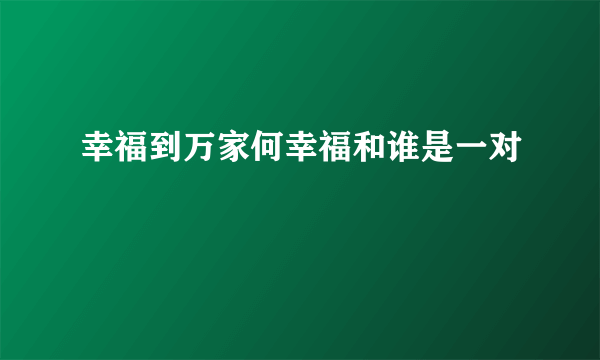 幸福到万家何幸福和谁是一对