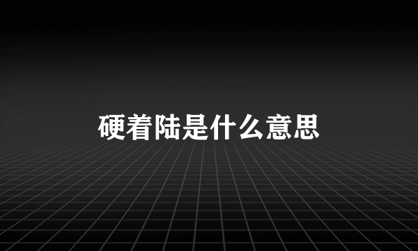 硬着陆是什么意思