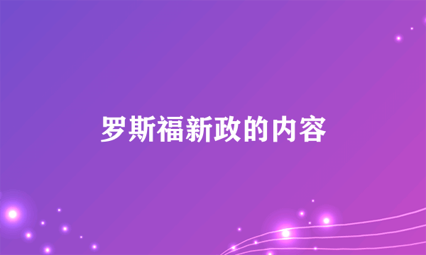 罗斯福新政的内容