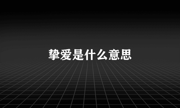 挚爱是什么意思